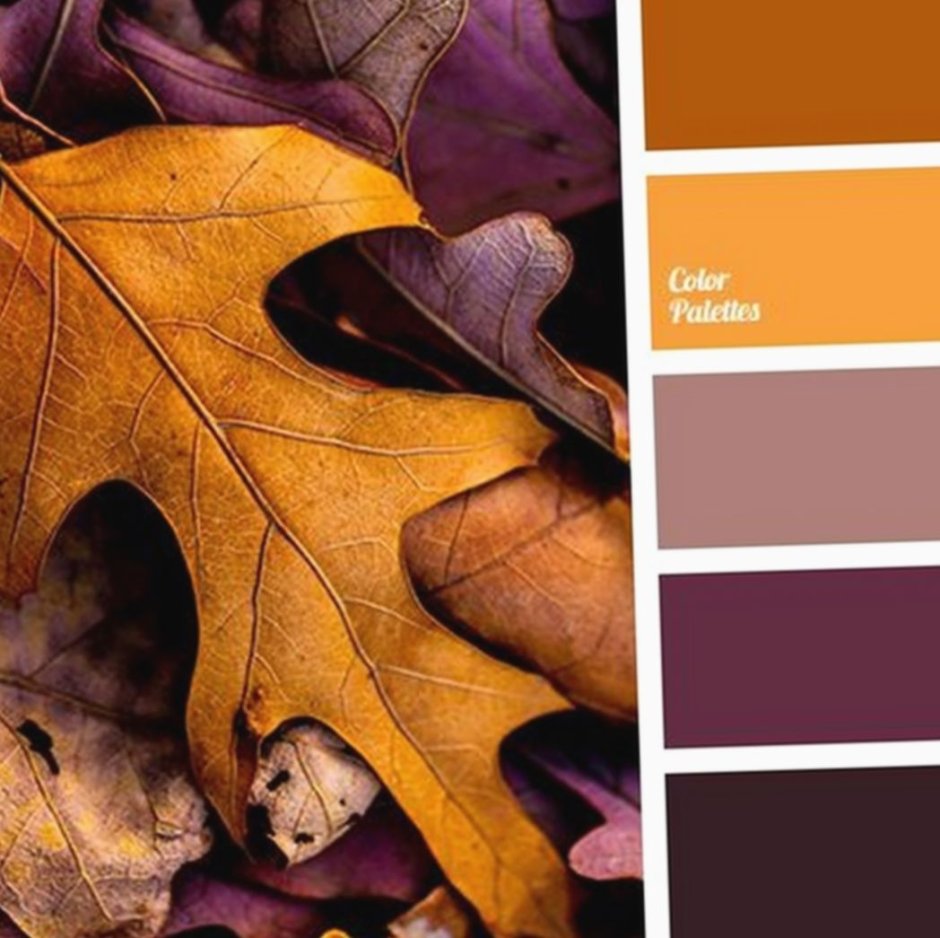 Цветовые сочетания с охрой