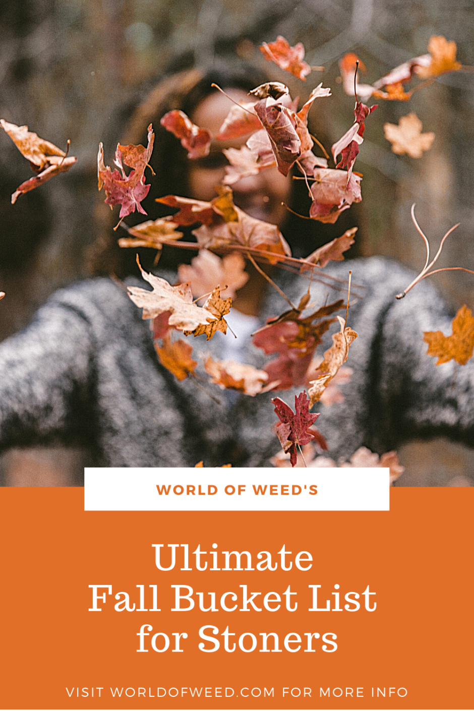 Осенние цвета