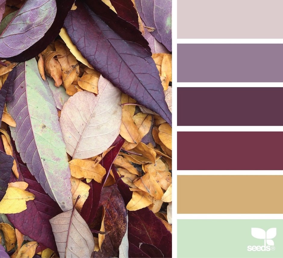 Цветовые сочетания Сеедс