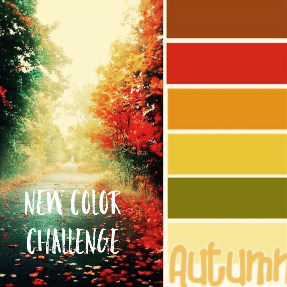 Осенние краски цвета