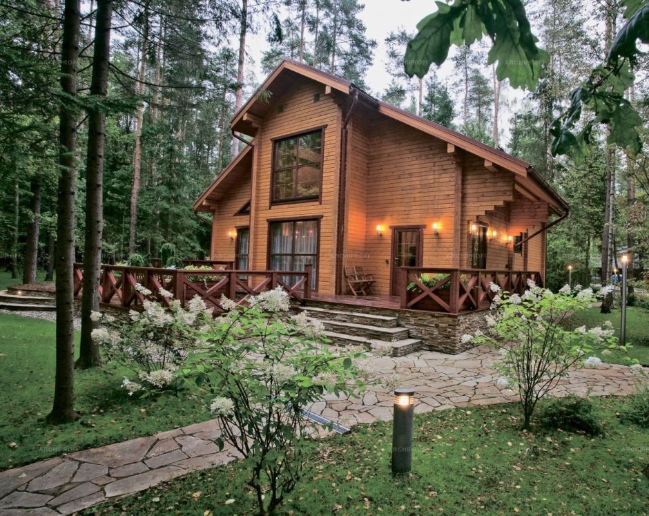 Деревянный дом в соснах