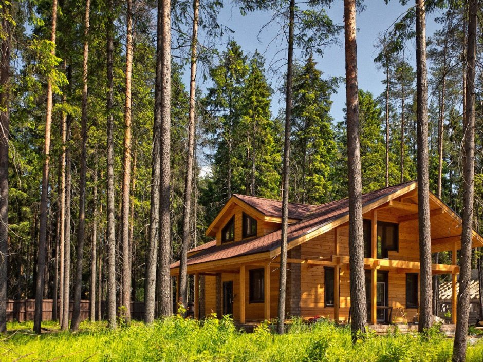 Выборгский район коттеджный поселок