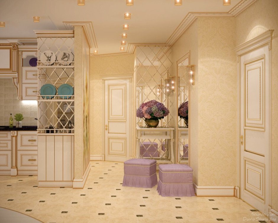 Интерьер кухни с прихожей