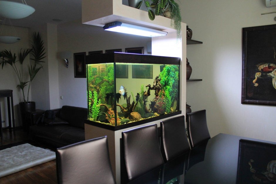 Встраиваемый аквариум в стену