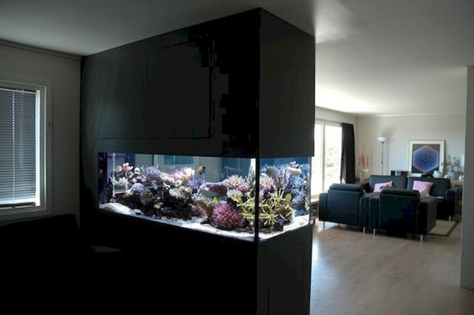 Окно аквариум в квартире