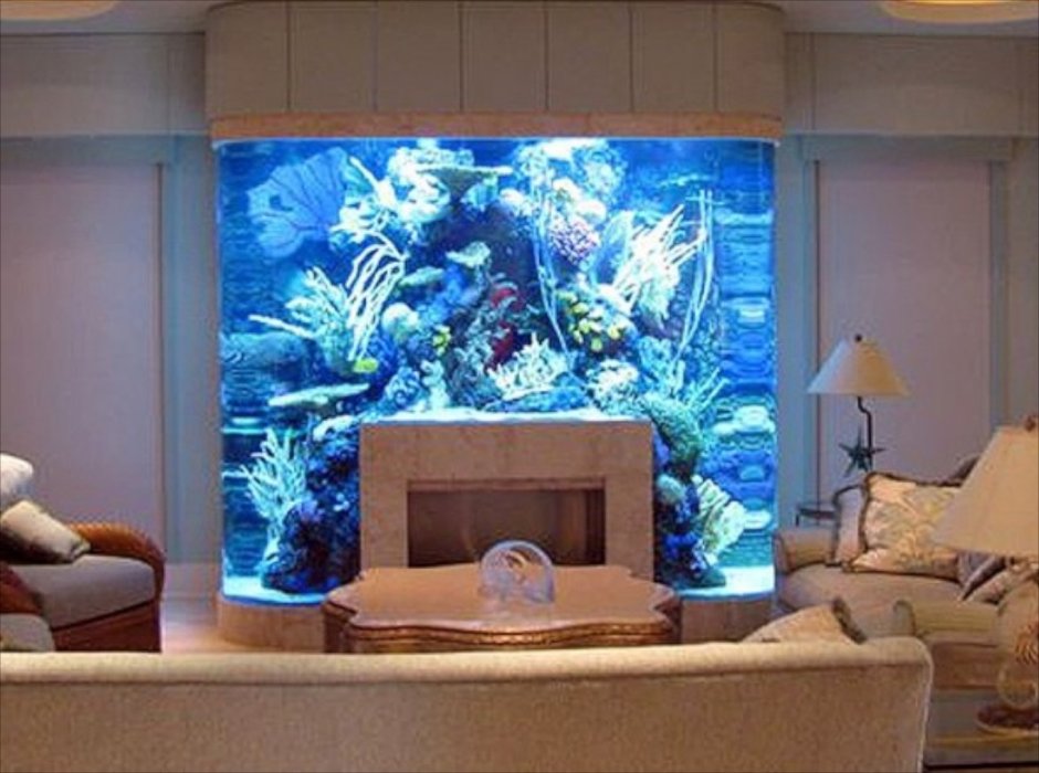 Большие аквариумы в стене
