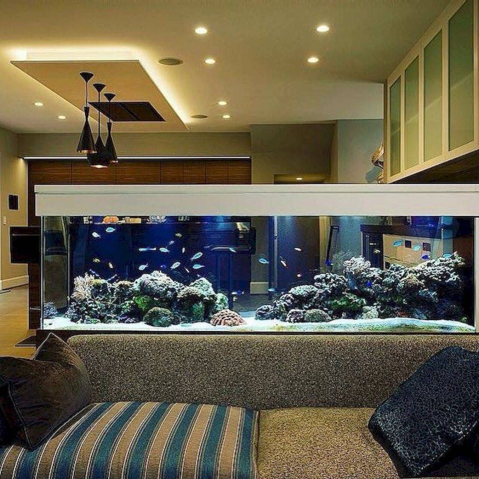 Большие аквариумы в квартире