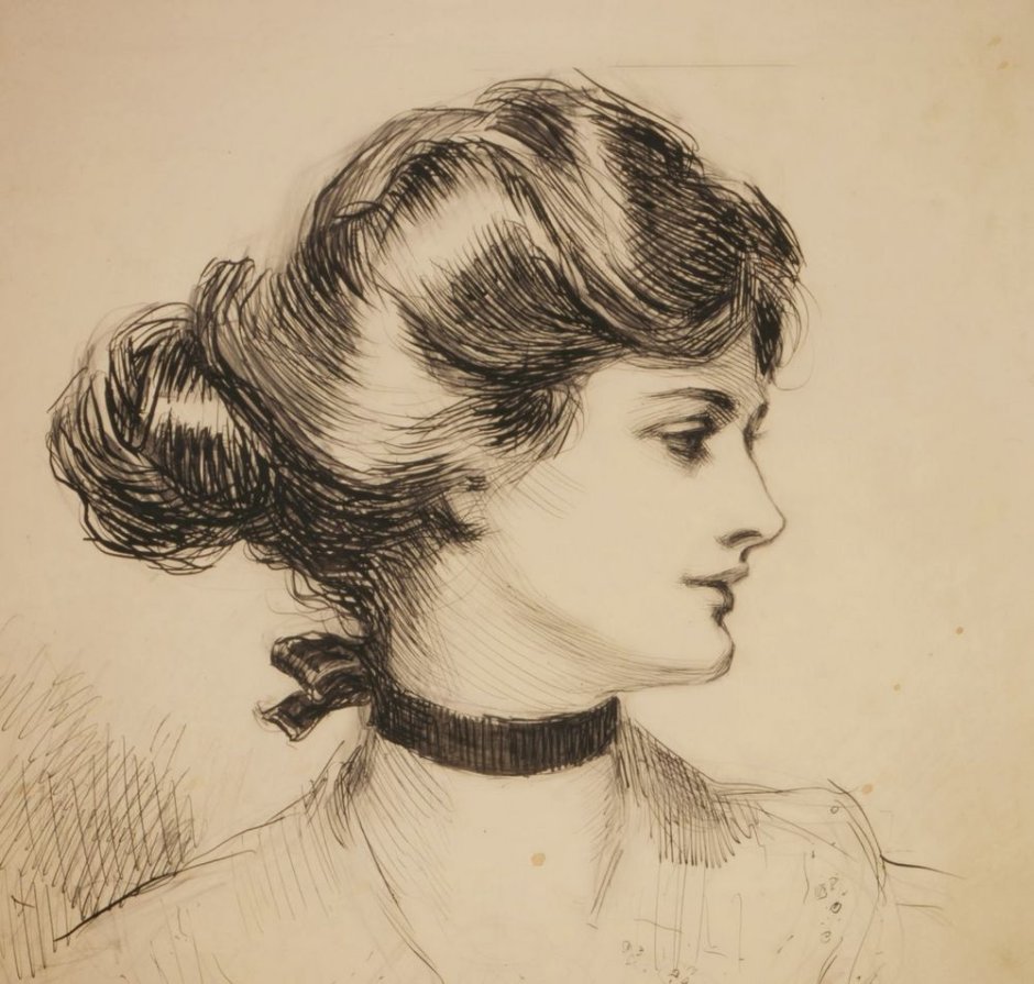 Charles Dana Gibson художник