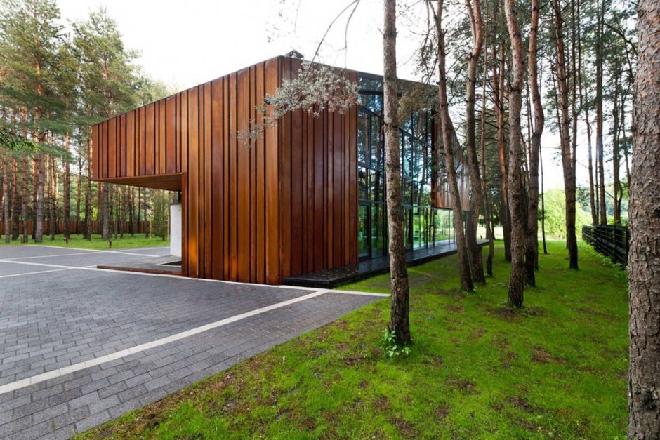 Современная архитектура в лесу