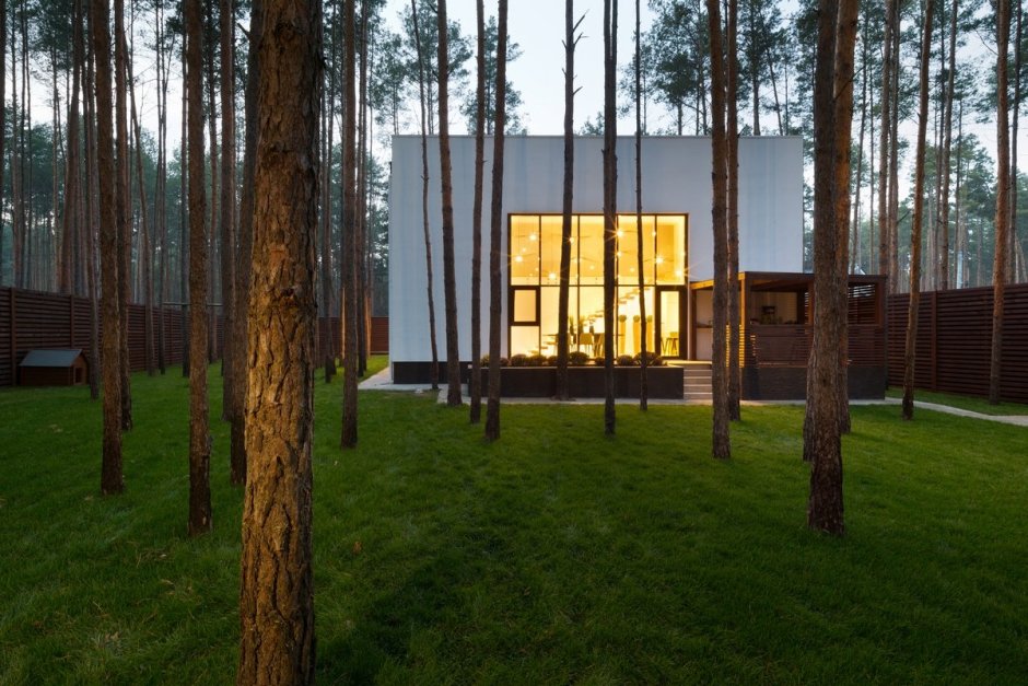 Участок в Сосновом лесу