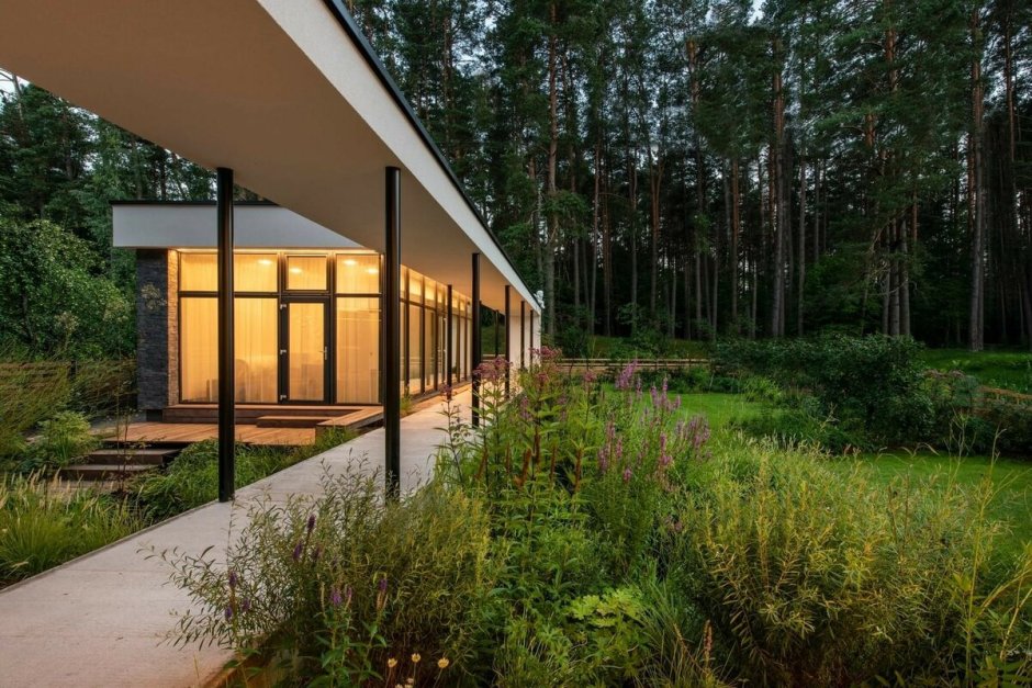 Дом в Сосновом лесу