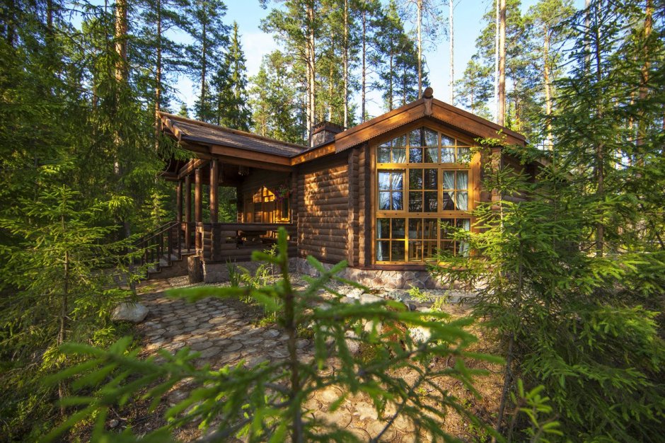 Шишки на Лампушке Ленинградская область