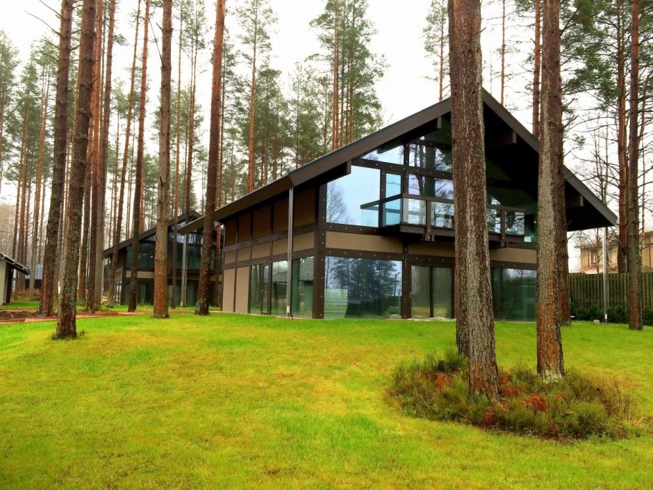 Сосновый Бор Новорижское шоссе