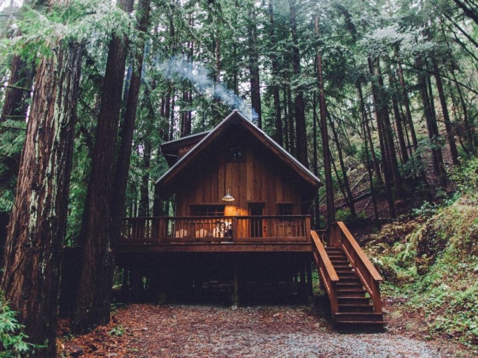 Бревенчатый дом в лесу на сваях