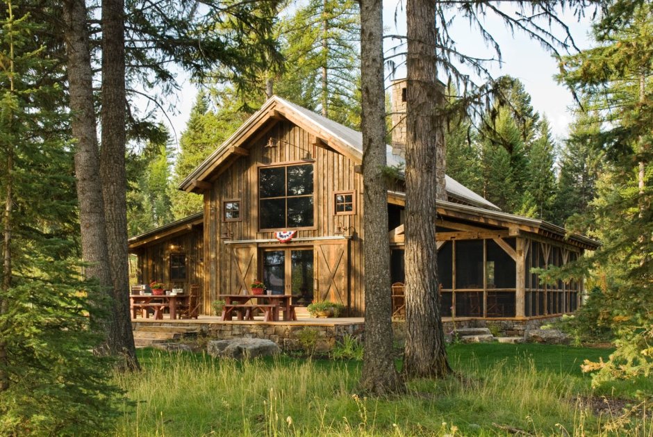 Хонка в лесу