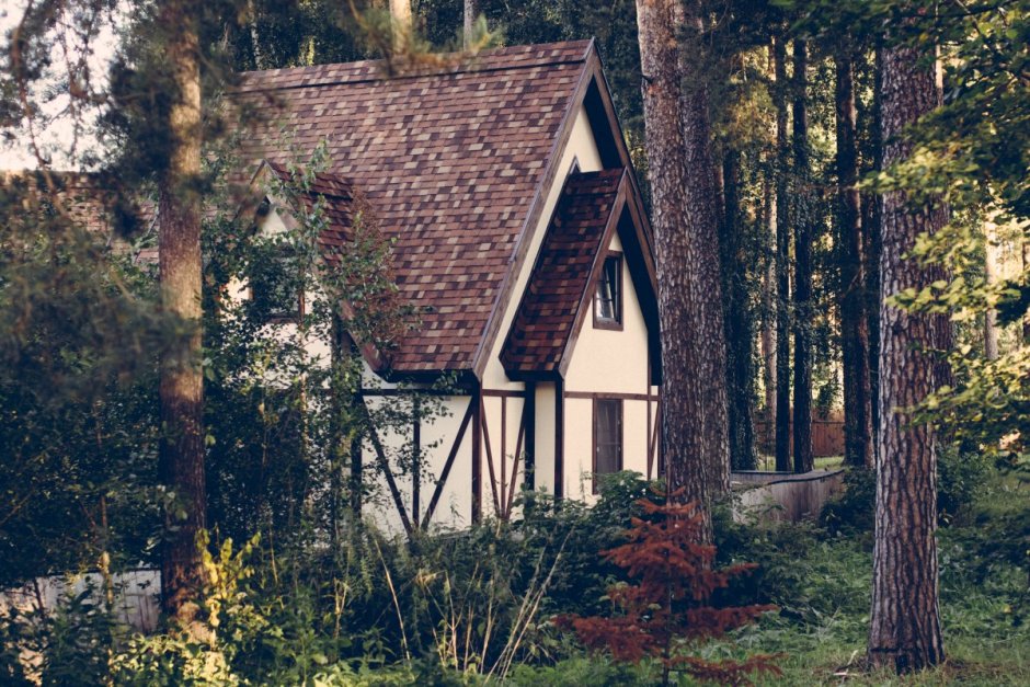 Инга Мур "домик в лесу"