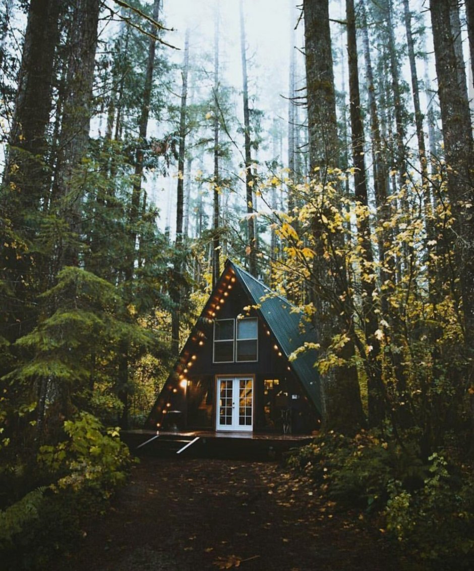 Лесная Хижина Финляндия