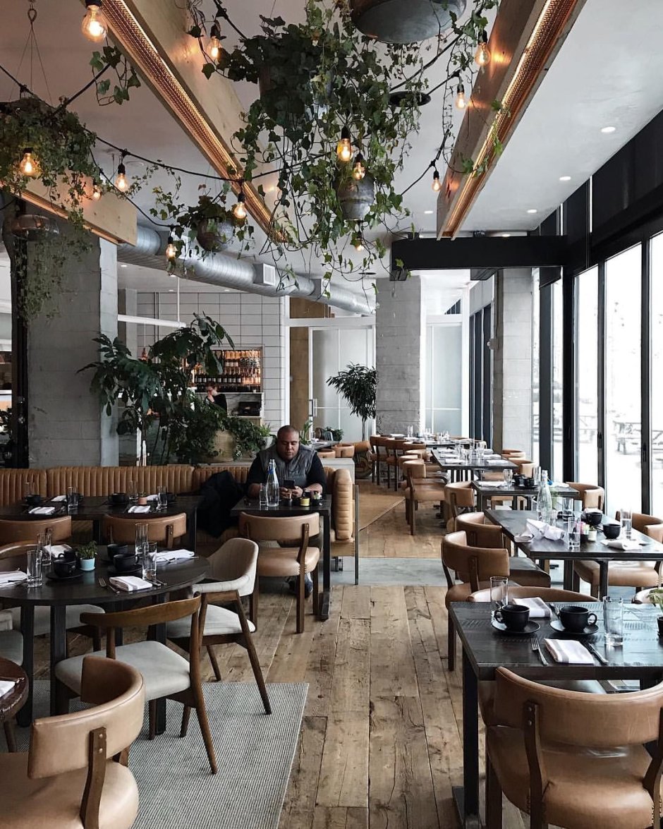 Декор для ресторанных блюд