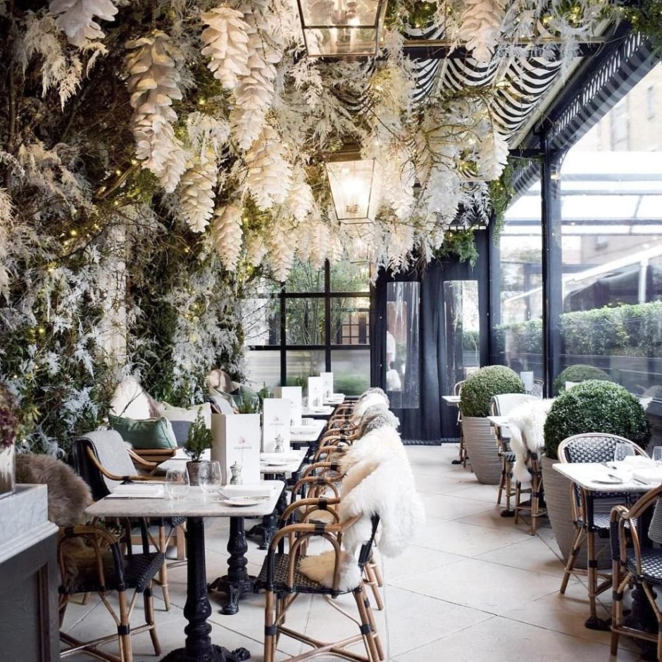 Тренды ресторан