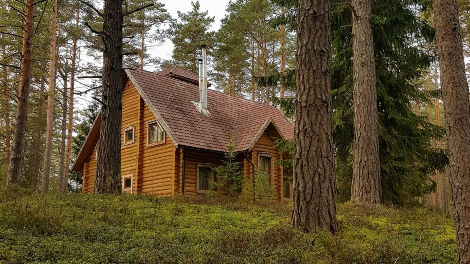 Резиденция Озерная Селигер