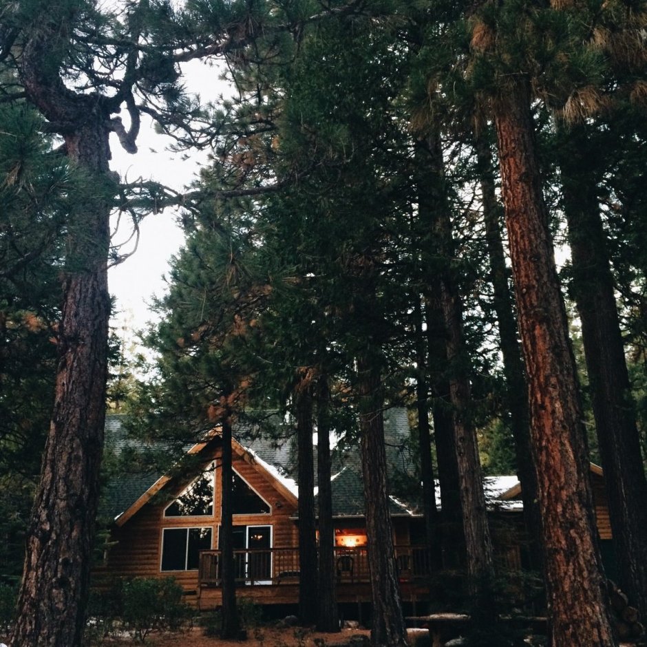 Хижина в Сосновом Бору Пермь