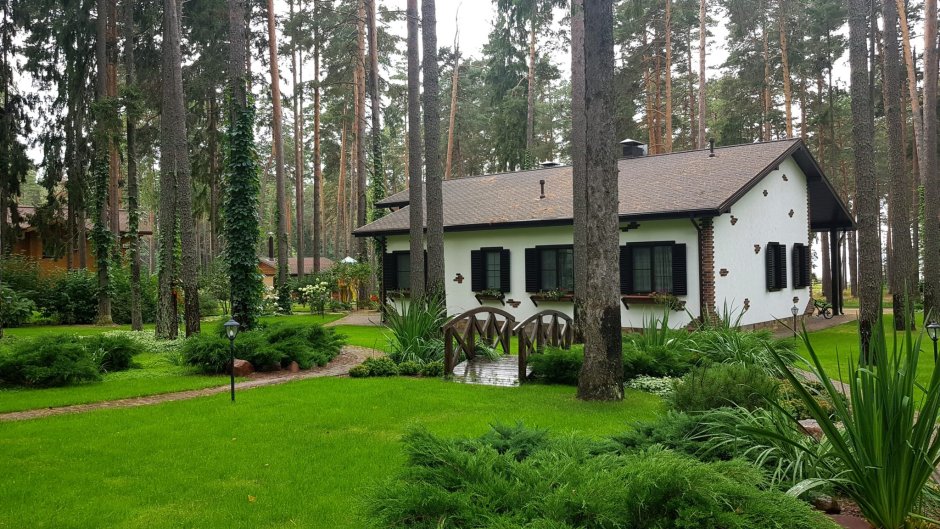 Деревянный дом в Сосновом Бору