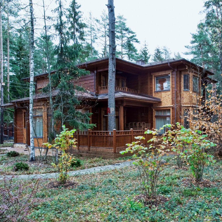 Комарово Хонка