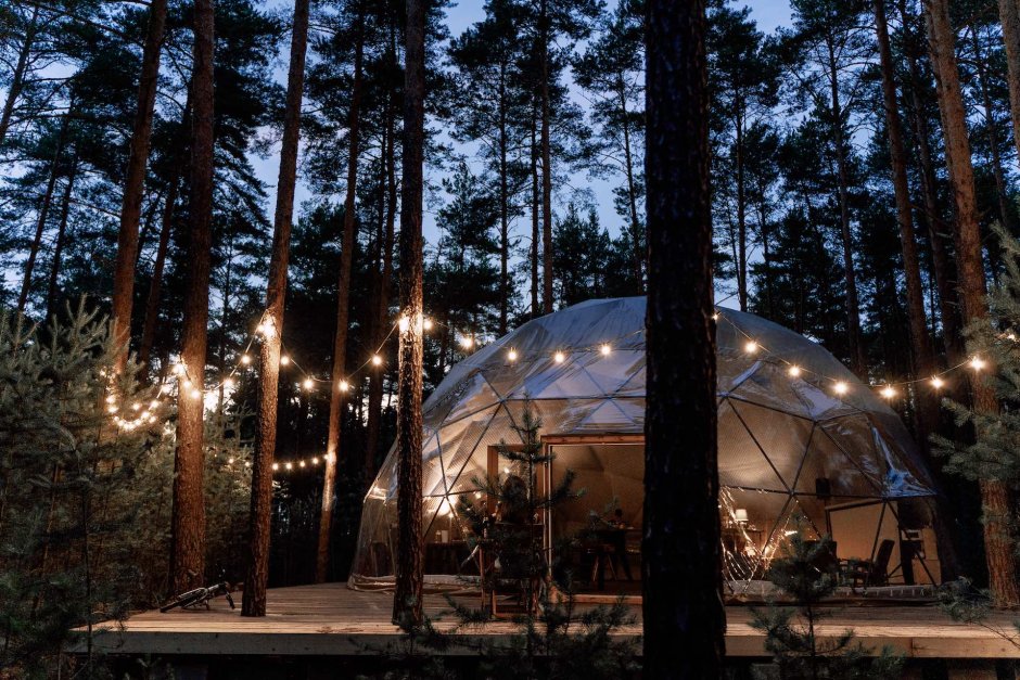 Вилли улей глэмпинг