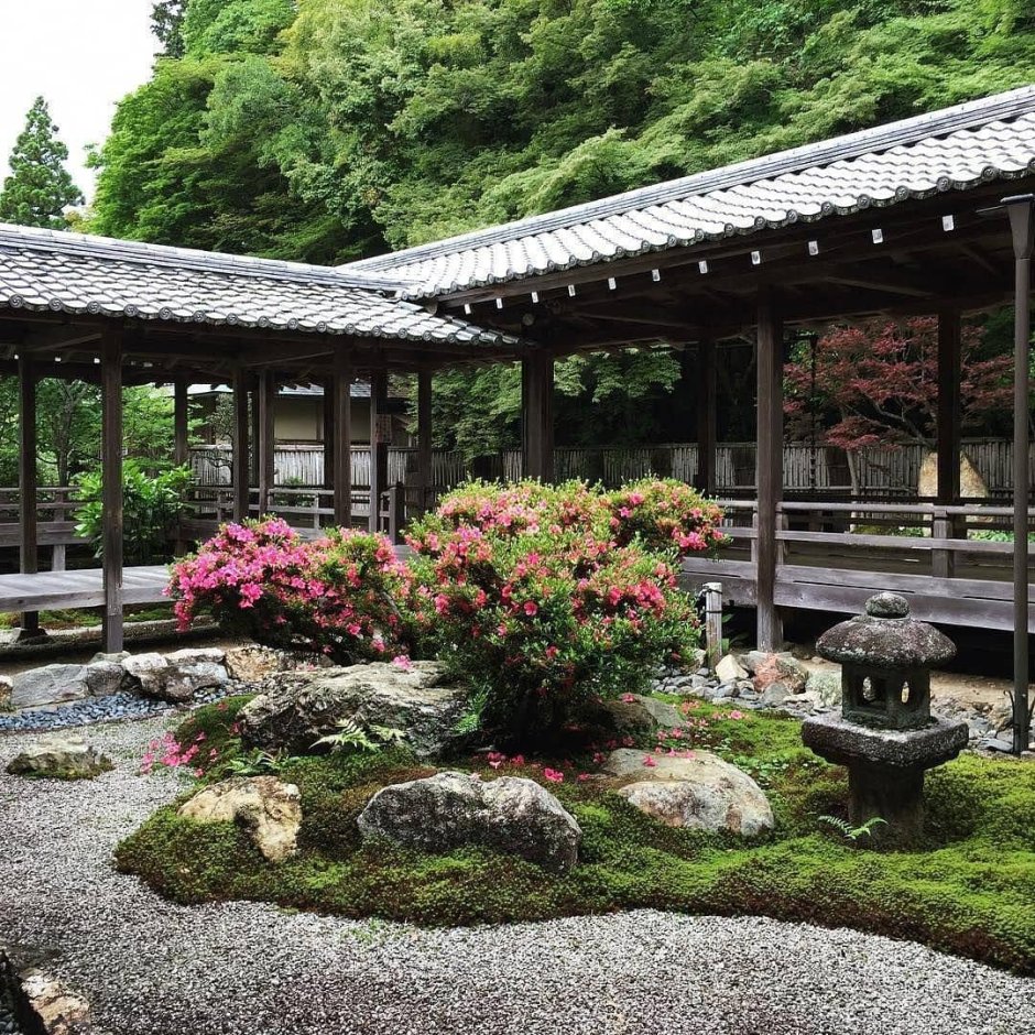 Япония сад дзэн