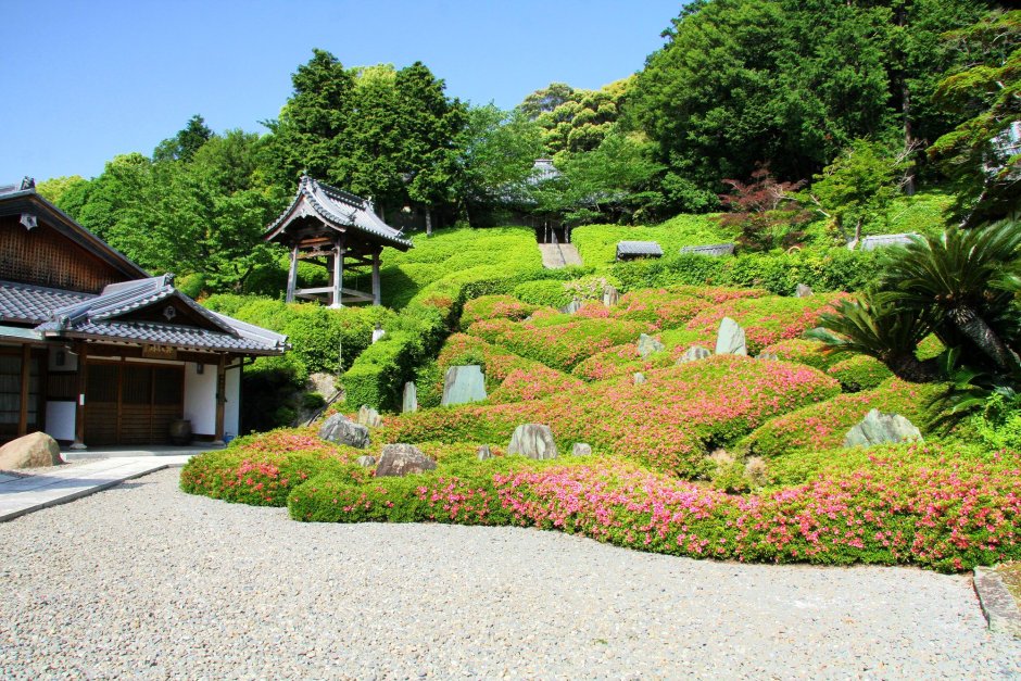 Корейские дачиланшафт