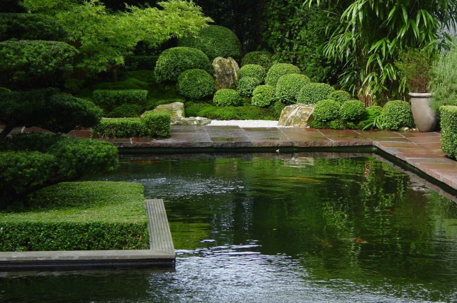 Японский прудик в саду