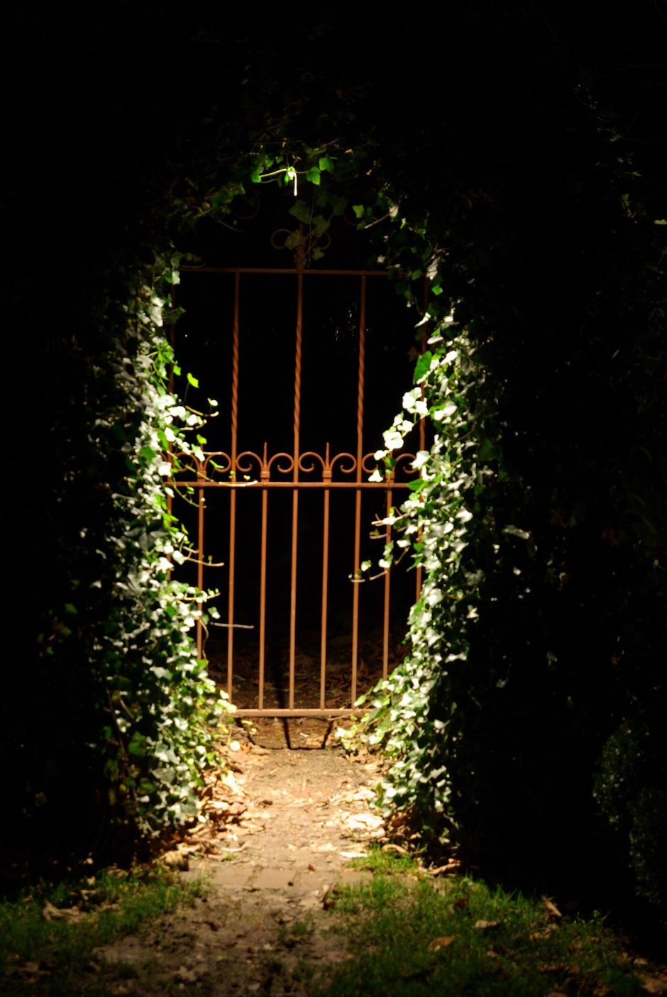 Калитка в ночной сад
