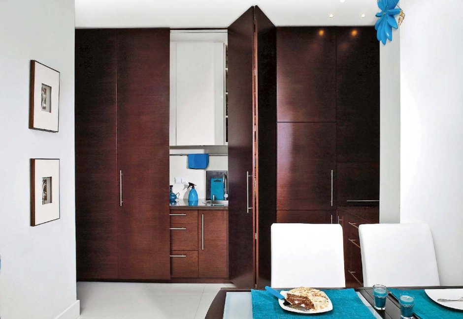 Кухни с дверями скрывающими