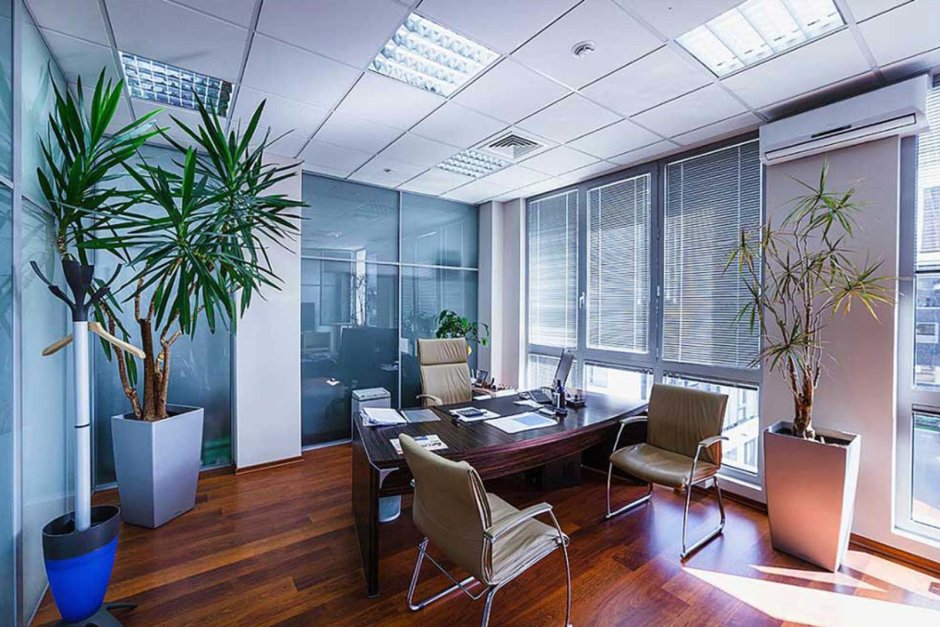 Красивое офисное помещение