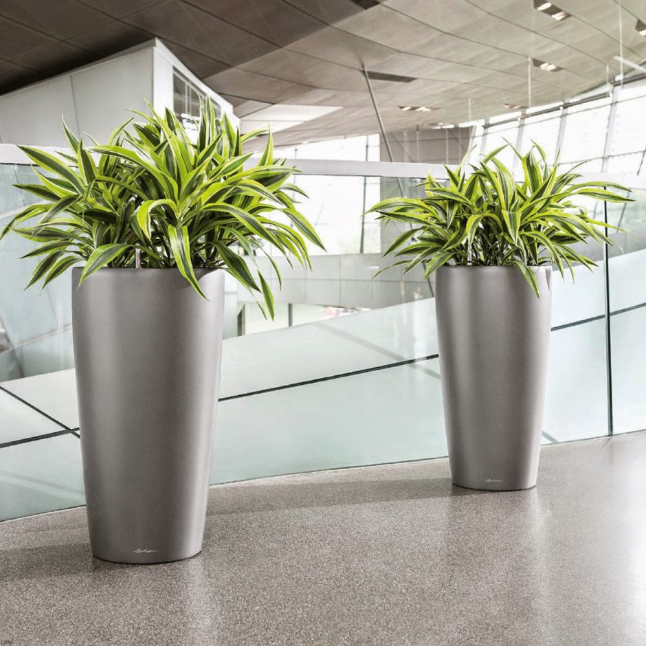 Кашпо Lechuza Rondo 40