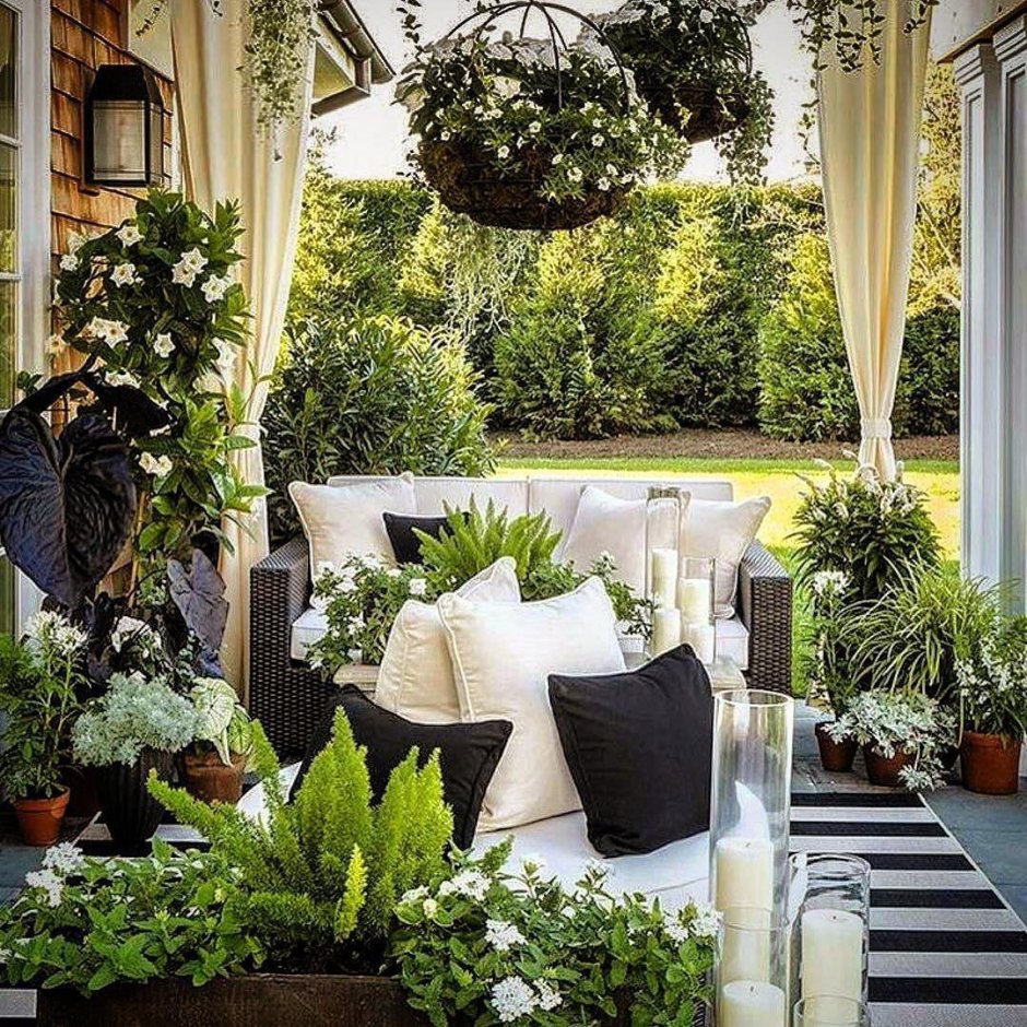 Озеленение веранды и террасы