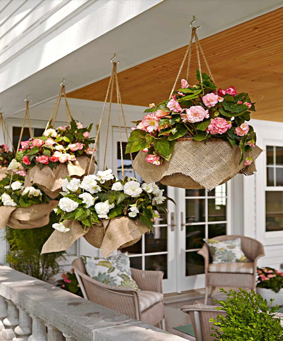 Петунии на веранде