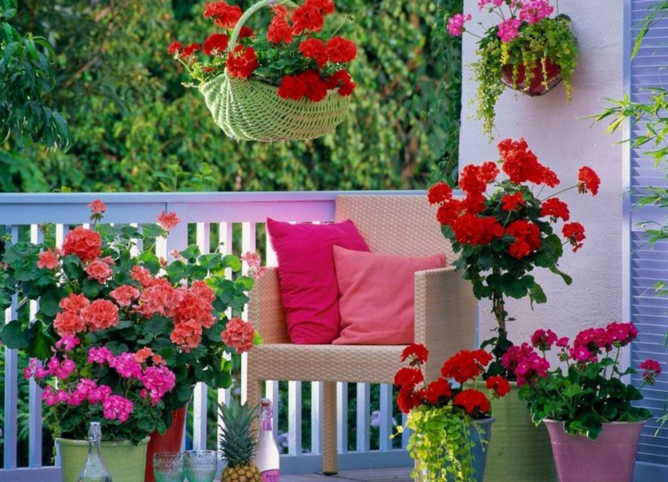 Балкон в цветах