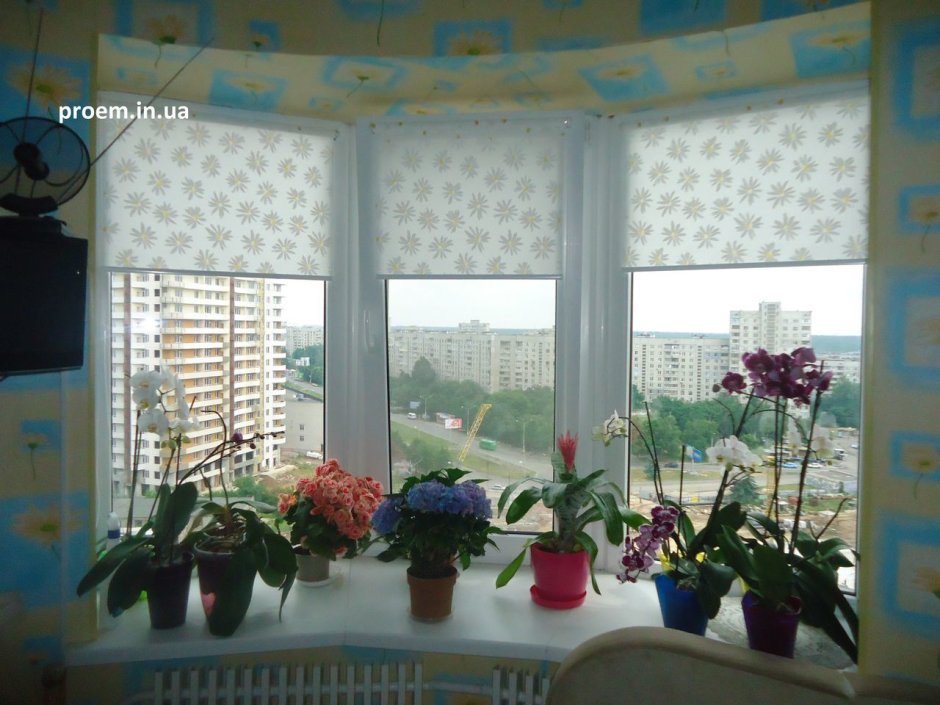 Притенить окно для цветов