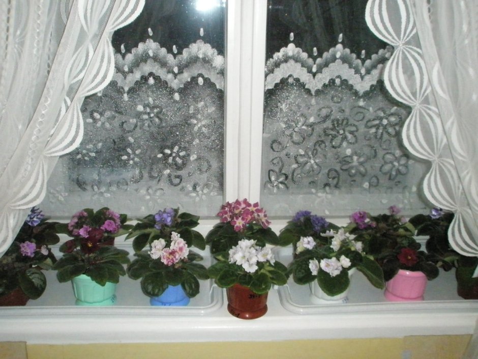 Притенить окно для цветов