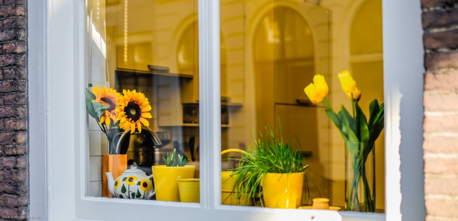 Желтые пластиковые окна