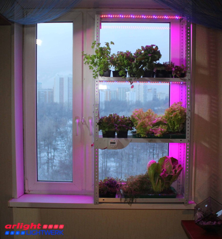 Подсветка для цветов на подоконнике