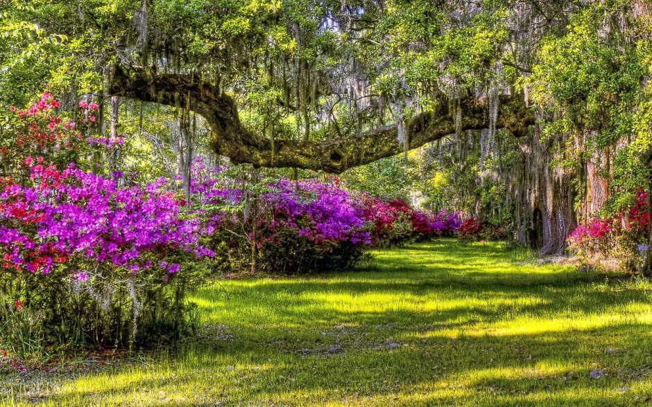 Милюков Александр Южный пейзаж