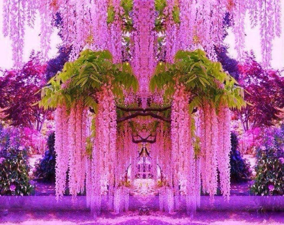 Красивый парк