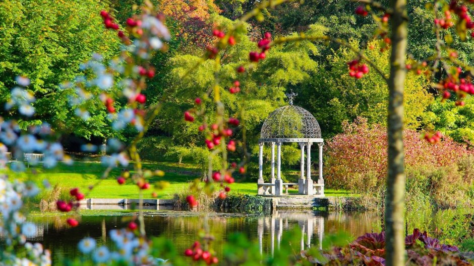 Эдемский сад ландшафт