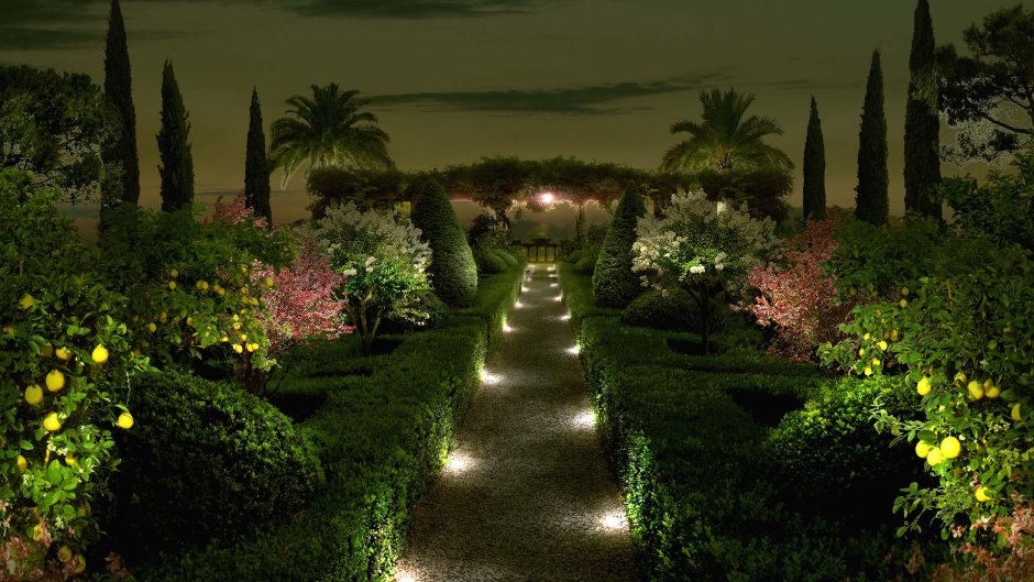 Фон для фотомонтажа