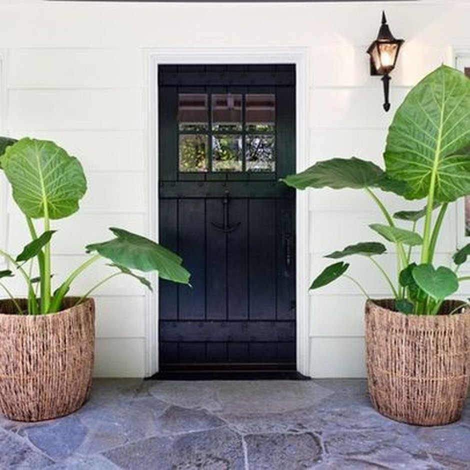 Комнатные цветы в спальне