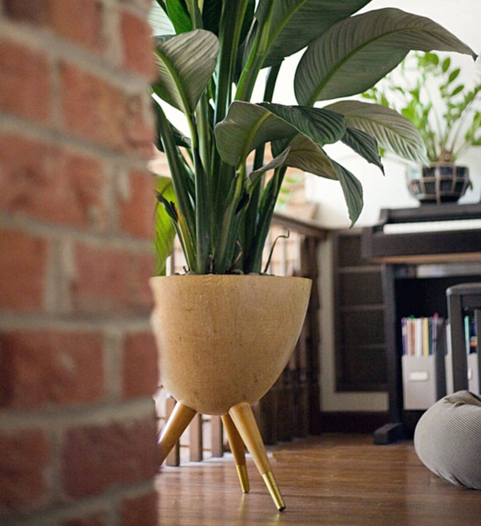 Кашпо Lechuza Delta 20 белое