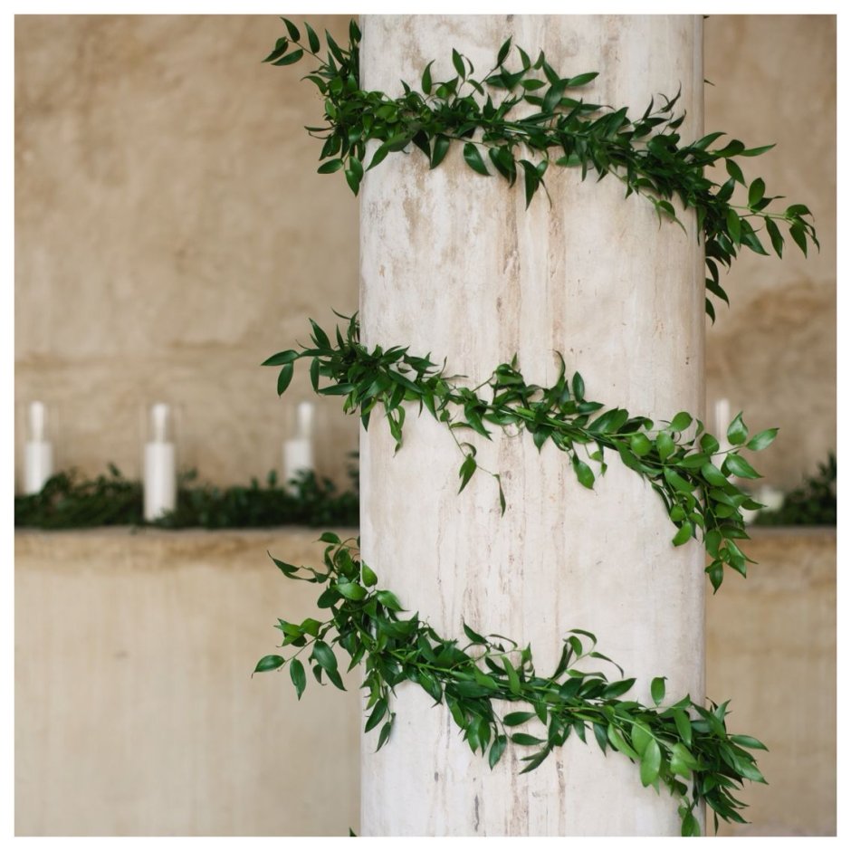 Колонна увитая плющом