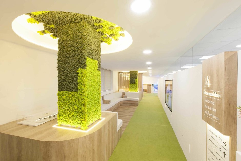 Фитостена колонна